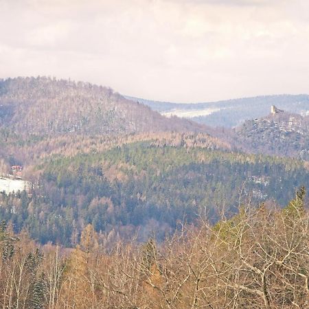 Willa "Sniezna Kopa"-Agroturystyka Pro Zdrowotna Villa Sosnowka  Bagian luar foto