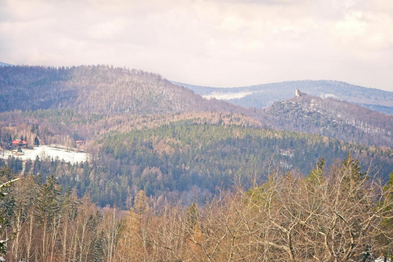Willa "Sniezna Kopa"-Agroturystyka Pro Zdrowotna Villa Sosnowka  Bagian luar foto