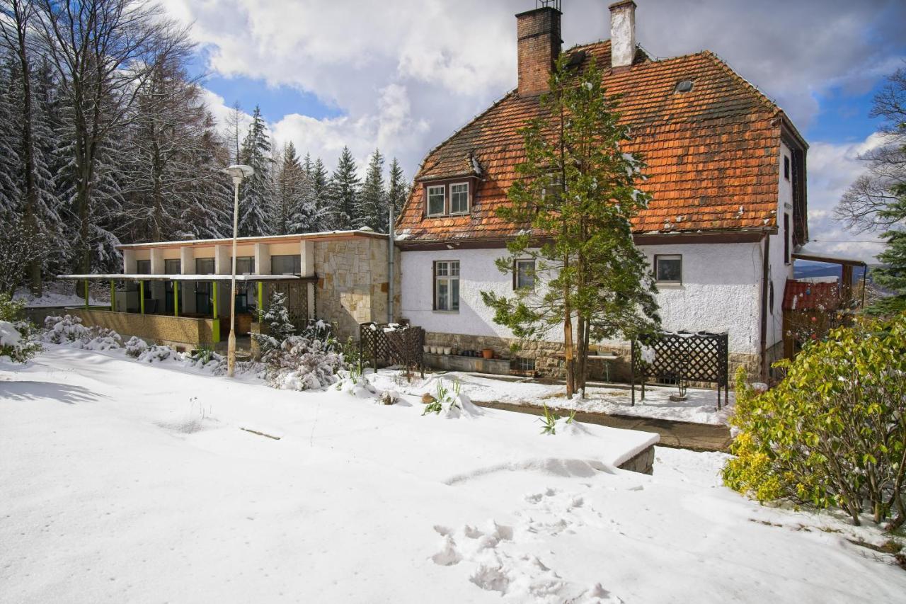 Willa "Sniezna Kopa"-Agroturystyka Pro Zdrowotna Villa Sosnowka  Bagian luar foto